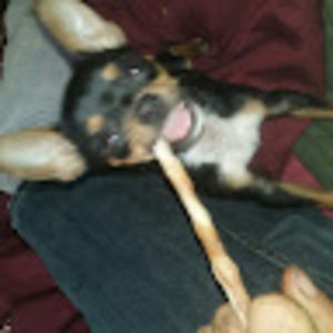 Meet your Posher, Donna